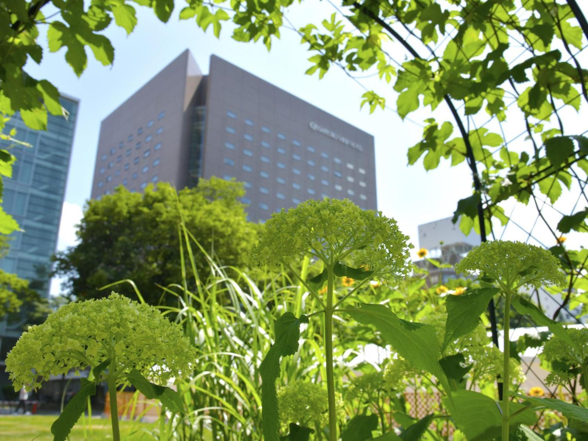 札幌ビューホテル大通公園