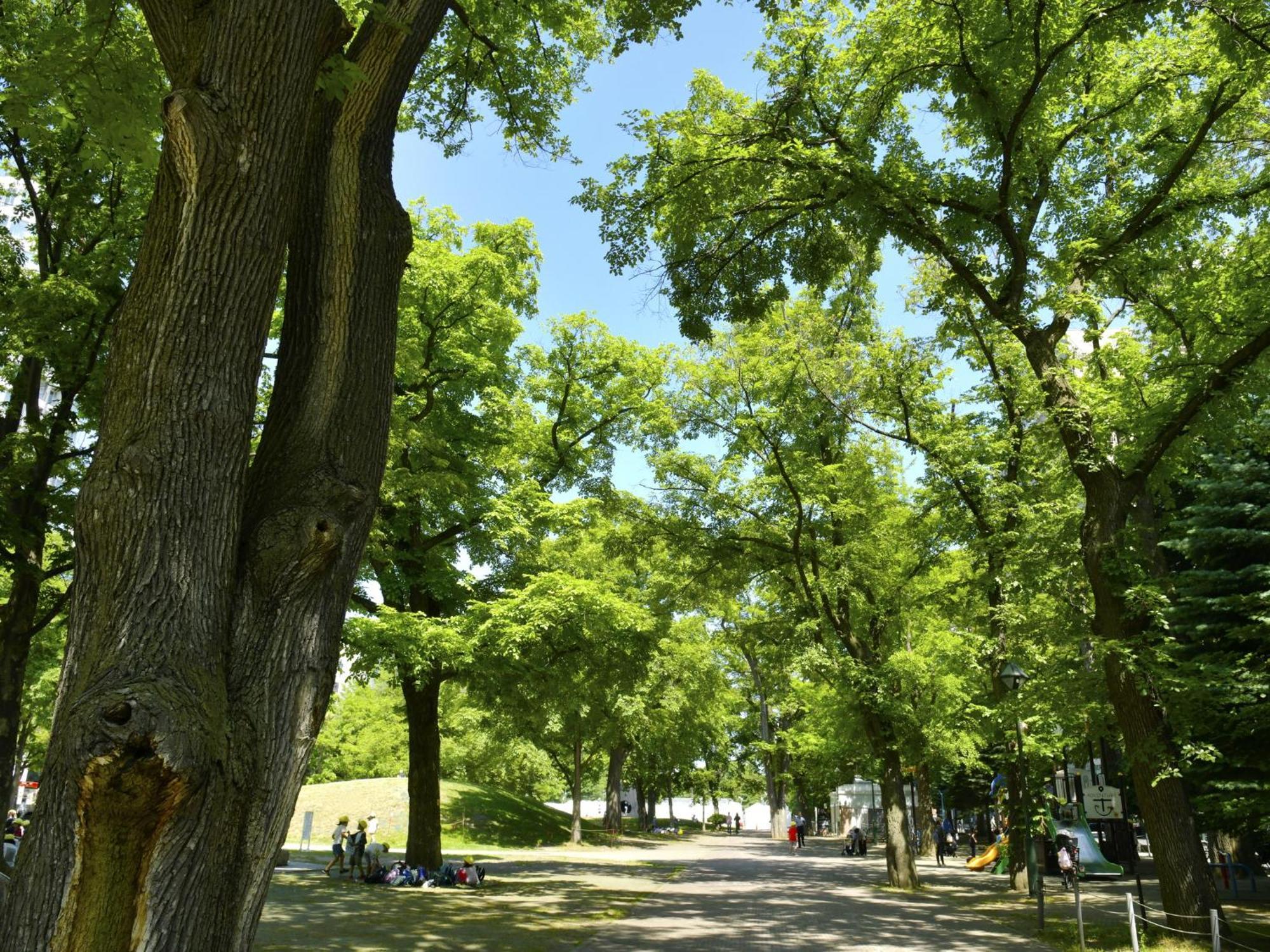 ホテル 札幌ビューホテル大通公園 札幌市